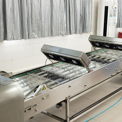 220V/380V बिजली आपूर्ति के साथ उत्पादन लाइन के लिए मार्शलिंग कूलिंग कन्वेयर