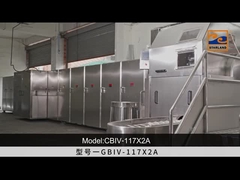 सीबीआईवी-117*2ए