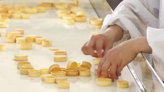 स्वचालित तीखा शैल उत्पादन लाइन